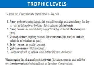 TROPHIC LEVELS
 