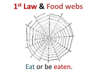 1st   Law & Food webs




      Eat or be eaten.
 