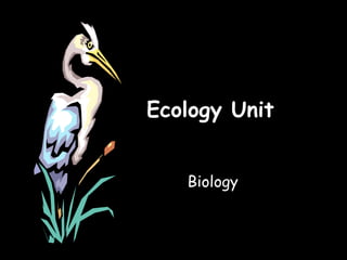 Ecology Unit


   Biology
 
