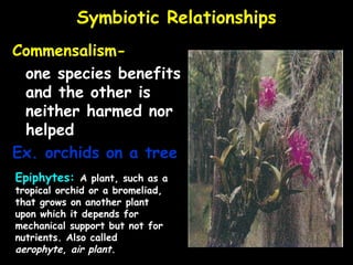 Ecology notes ppt