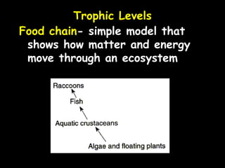 Ecology notes ppt