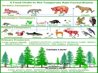 Ecology notes ppt