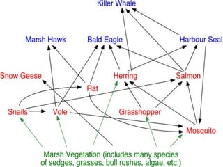 Ecology notes ppt