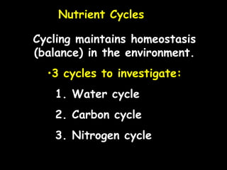 Ecology notes ppt