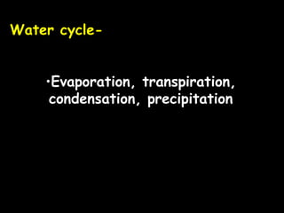 Ecology notes ppt