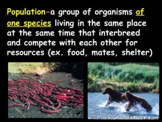 Ecology notes ppt
