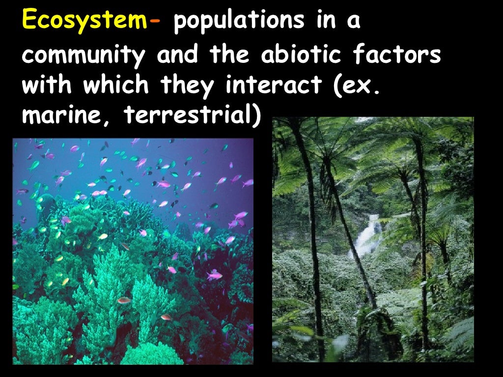 Ecology Notes Ppt Ecology Notes Ppt
