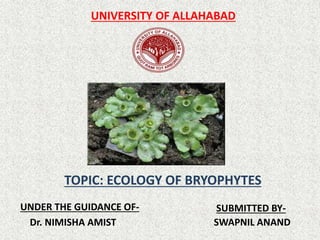 TOPIC: ECOLOGY OF BRYOPHYTES
UNDER THE GUIDANCE OF-
Dr. NIMISHA AMIST
SUBMITTED BY-
SWAPNIL ANAND
UNIVERSITY OF ALLAHABAD
 