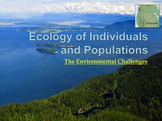 The Environmental Challenges
 