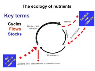 The ecology of nutrients

Key terms
 Cycles
 Flows
 Stocks
 