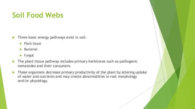 Ecology Of Plant Parasitic Nematodes Ppns - 