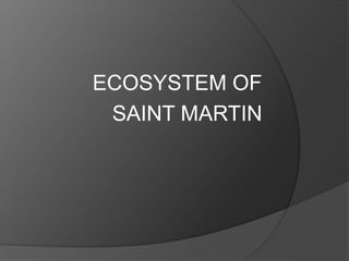 ECOSYSTEM OF
SAINT MARTIN
 