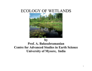 1
ECOLOGY OF WETLANDS
by
Prof. A. Balasubramanian
Centre for Advanced Studies in Earth Science
University of Mysore, India
 