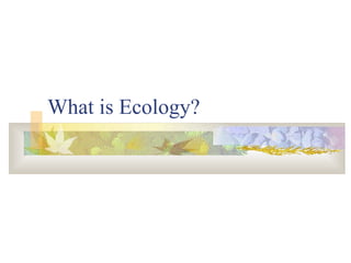 What is Ecology?
 