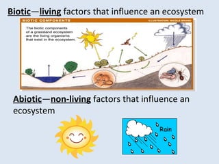 Ecology ppt | PPT