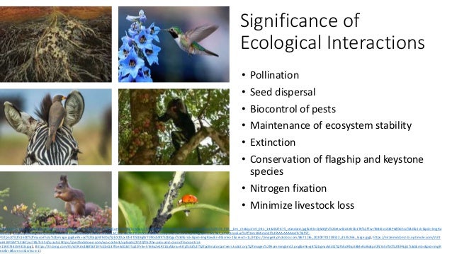 ecological interactions.pptx