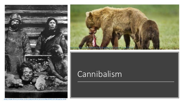 Cannibalism
(https://www.thesun.co.uk/wp-content/uploads/2016/12/nintchdbpict000291453186.jpg?w=1340)
(https://news.cgtn.com/news/3d456a4d7763444e/img/4aa20b68-415e-4835-bef2-f784d755ee03.jpg)
 