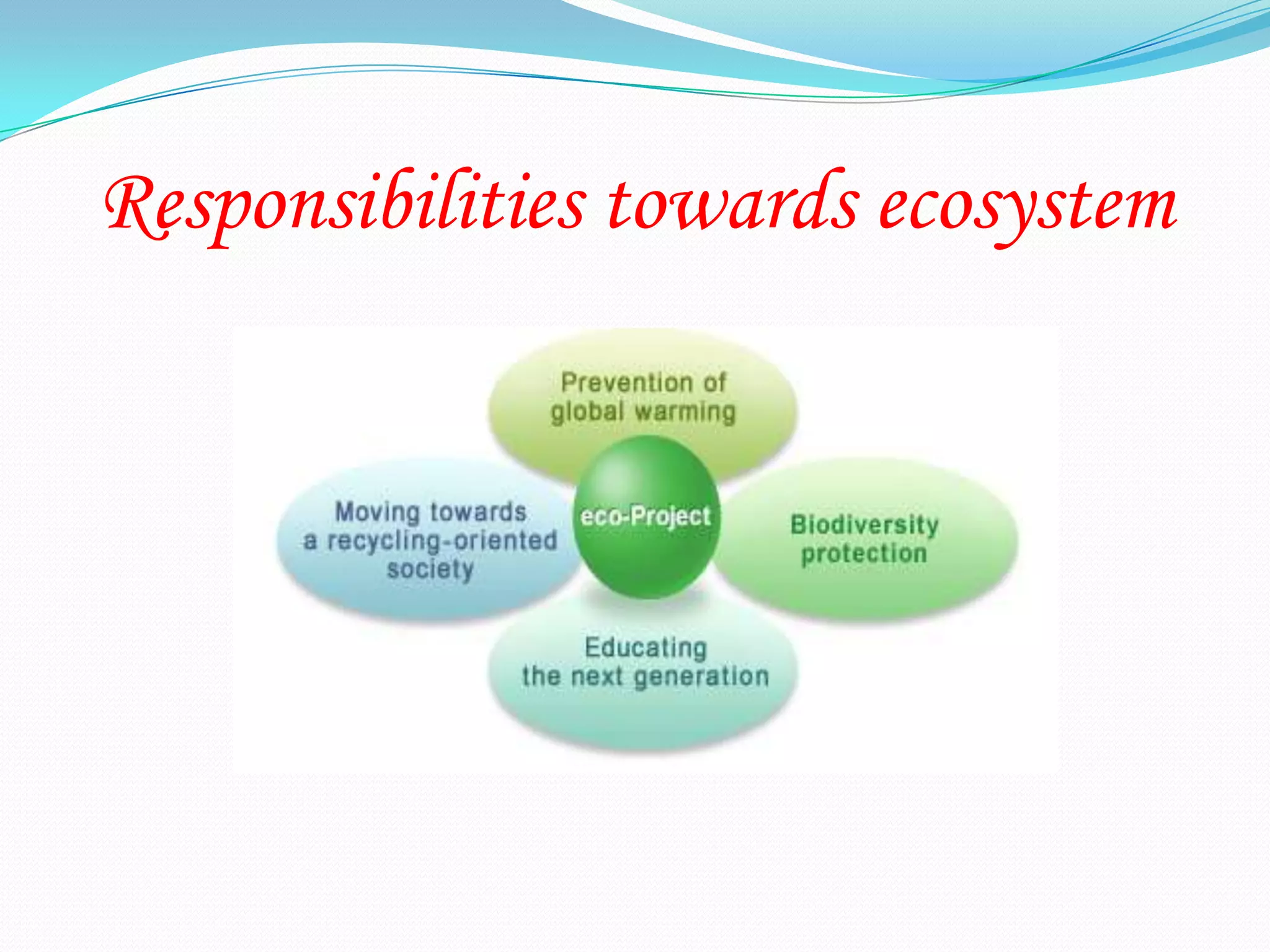Responsibilities towards ecosystem
 
