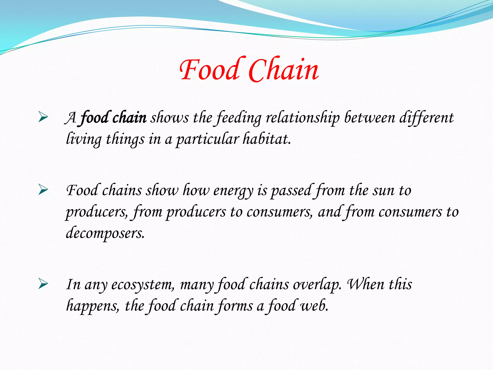 Food Chain
 A food chain shows the feeding relationship between different
    living things in a particular habitat.

 Food chains show how energy is passed from the sun to
    producers, from producers to consumers, and from consumers to
    decomposers.

 In any ecosystem, many food chains overlap. When this
    happens, the food chain forms a food web.
 