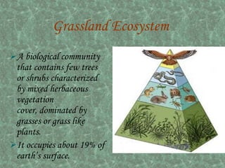 Grassland Ecosystem
A biological community
 that contains few trees
 or shrubs characterized
 by mixed herbaceous
 vegetation
 cover, dominated by
 grasses or grass like
 plants.
It occupies about 19% of
 earth’s surface.
 