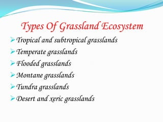 Types Of Grassland Ecosystem
Tropical and subtropical grasslands
Temperate grasslands
Flooded grasslands
Montane grasslands
Tundra grasslands
Desert and xeric grasslands
 