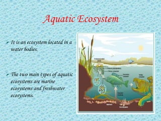 Aquatic Ecosystem
 It is an ecosystem located in a
  water bodies.



 The two main types of aquatic
  ecosystems are marine
  ecosystems and freshwater
  ecosystems.
 