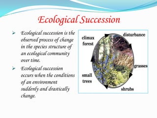Ecological Succession
 Ecological succession is the
  observed process of change
  in the species structure of
  an ecological community
  over time.
 Ecological succession
  occurs when the conditions
  of an environment
  suddenly and drastically
  change.
 