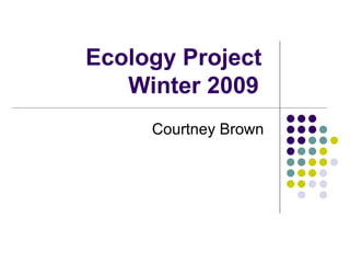 Ecology Project  Winter 2009 Courtney Brown  