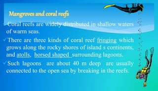 Mangroves and coral reefs 
Coral reefs are widely distributed in shallow waters 
of warm seas. 
There are three kinds of coral reef fringing which 
grows along the rocky shores of island s continents, 
and atolls, horsed shaped surrounding lagoons. 
Such lagoons are about 40 m deep are usually 
connected to the open sea by breaking in the reefs. 
 