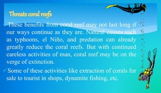 Threats coral reefs 
These benefits from coral reef may not last long if 
our ways continue as they are. Natural causes such 
as typhoons, el Niño, and predation can already 
greatly reduce the coral reefs. But with continued 
careless activities of man, coral reef may be on the 
verge of extinction. 
Some of these activities like extraction of corals for 
sale to tourist in shops, dynamite fishing, etc. 
 