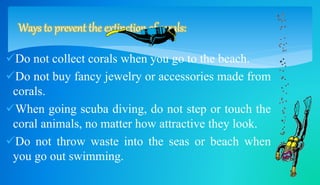 Ways to prevent the extinction of corals: 
Do not collect corals when you go to the beach. 
Do not buy fancy jewelry or accessories made from 
corals. 
When going scuba diving, do not step or touch the 
coral animals, no matter how attractive they look. 
Do not throw waste into the seas or beach when 
you go out swimming. 
 
