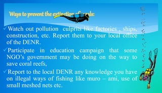 Ways to prevent the extinction of corals: 
Watch out pollution culprits like factories , ships, 
construction, etc. Report them to your local office 
of the DENR. 
Participate in education campaign that some 
NGO’s government may be doing on the way to 
save coral reefs, 
Report to the local DENR any knowledge you have 
on illegal ways of fishing like muro – ami, use of 
small meshed nets etc. 
 