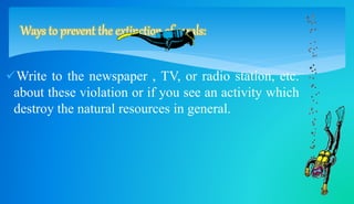 Ways to prevent the extinction of corals: 
Write to the newspaper , TV, or radio station, etc. 
about these violation or if you see an activity which 
destroy the natural resources in general. 
 