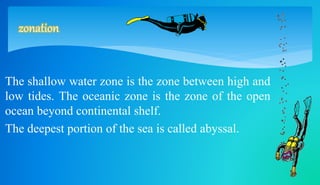 zonation 
The shallow water zone is the zone between high and 
low tides. The oceanic zone is the zone of the open 
ocean beyond continental shelf. 
The deepest portion of the sea is called abyssal. 
 