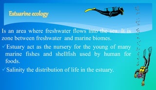 Estuarine ecology 
Is an area where freshwater flows into the sea. It is 
zone between freshwater and marine biomes. 
Estuary act as the nursery for the young of many 
marine fishes and shellfish used by human for 
foods. 
Salinity the distribution of life in the estuary. 
 