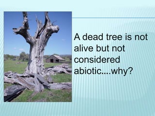 A dead tree is not
alive but not
considered
abiotic….why?
 