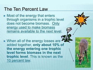 The Ten Percent Law
 Most of the energy that enters
through organisms in a trophic level
does not become biomass. Only
energy used to make biomass
remains available to the next level.
 When all of the energy losses are
added together, only about 10% of
the energy entering one trophic
level forms biomass in the next
trophic level. This is known as the
10 percent law.
 