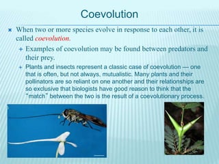 Coevolution
 When two or more species evolve in response to each other, it is
called coevolution.
 Examples of coevolution may be found between predators and
their prey.
 Plants and insects represent a classic case of coevolution — one
that is often, but not always, mutualistic. Many plants and their
pollinators are so reliant on one another and their relationships are
so exclusive that biologists have good reason to think that the
“match” between the two is the result of a coevolutionary process.
 