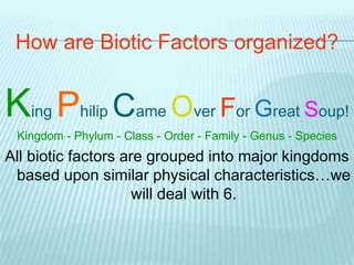 How are Biotic Factors organized?
King Philip Came Over For Great Soup!
Kingdom - Phylum - Class - Order - Family - Genus - Species
All biotic factors are grouped into major kingdoms
based upon similar physical characteristics…we
will deal with 6.
 