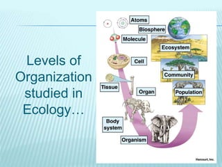 Levels of
Organization
studied in
Ecology…
 