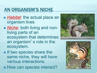 AN ORGANISM’S NICHE
 Habitat: the actual place an
organism lives
 Niche: both living and non-
living parts of an
ecosystem that determines
an organism’s role in the
ecosystem.
 If two species share the
same niche, they will have
various interactions.
 How can species interact?
 