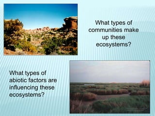 What types of
communities make
up these
ecosystems?
What types of
abiotic factors are
influencing these
ecosystems?
 