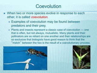 Coevolution
 When two or more species evolve in response to each
other, it is called coevolution.
 Examples of coevolution may be found between
predators and their prey.
 Plants and insects represent a classic case of coevolution — one
that is often, but not always, mutualistic. Many plants and their
pollinators are so reliant on one another and their relationships are
so exclusive that biologists have good reason to think that the
“match” between the two is the result of a coevolutionary process.
 
