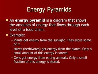Energy Pyramids An  energy pyramid  is a diagram that shows the amounts of energy that flows through each level of a food chain.  Example:  Plants get energy from the sunlight. They store some of it. Hares (herbivores) get energy from the plants. Only a small amount of this energy is stored. Owls get energy from eating animals. Only a small fraction of this energy is stored.  