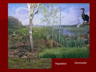Organism Population Community 