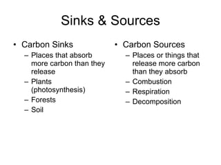 Sinks & Sources Carbon Sinks Places that absorb more carbon than they release Plants (photosynthesis) Forests Soil Carbon Sources Places or things that release more carbon than they absorb Combustion Respiration Decomposition 