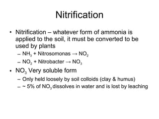 Nitrification Nitrification – whatever form of ammonia is applied to the soil, it must be converted to be used by plants NH 3  + Nitrosomonas -> NO 2 NO 2  + Nitrobacter -> NO 3 NO 3  Very soluble form Only held loosely by soil colloids (clay & humus) ~ 5% of NO 3  dissolves in water and is lost by leaching 