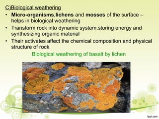 Natural Resources | PPT