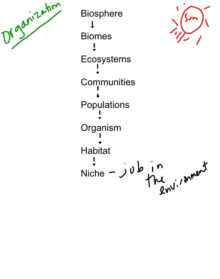 Ecosystem Study Guide