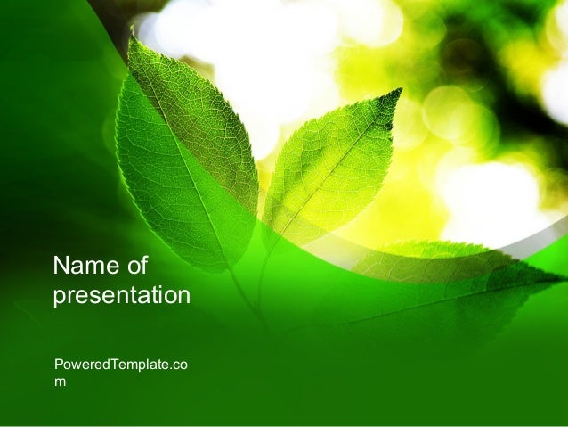 ecology theme powerpoint template what is ecology powerpoint